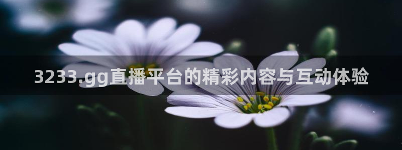 新闻图片