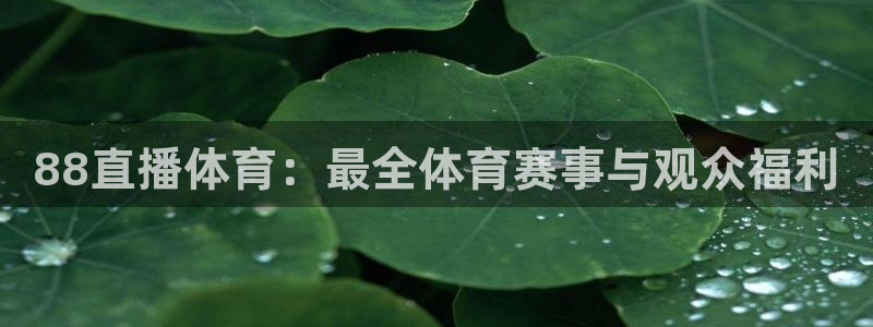 88直播体育：最全体育赛事与观众福利
