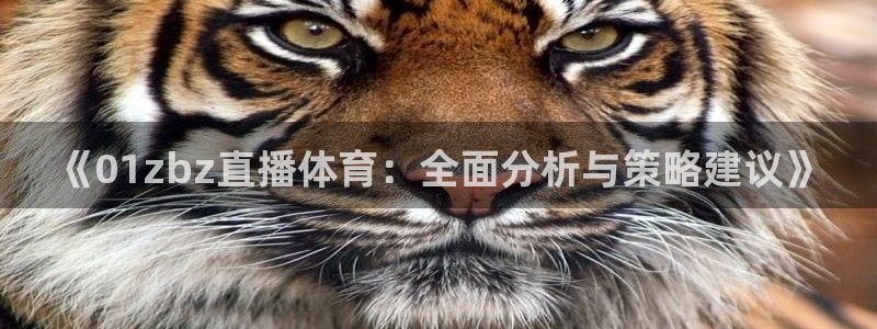 《01zbz直播体育：全面分析与策略建议》